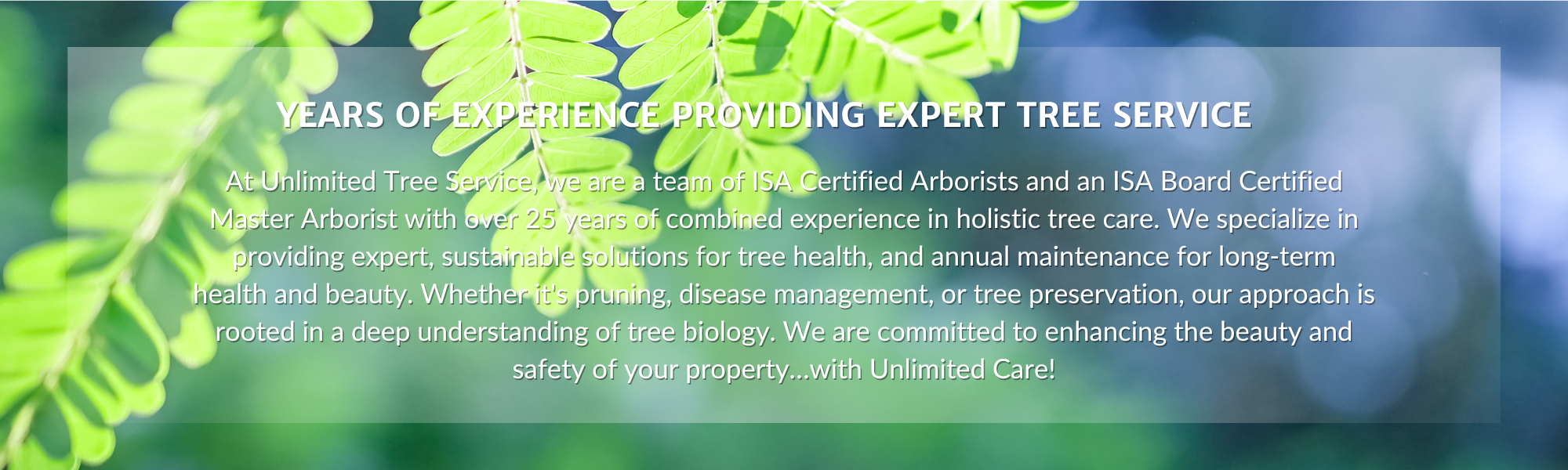 Trusted Tree Service Professional