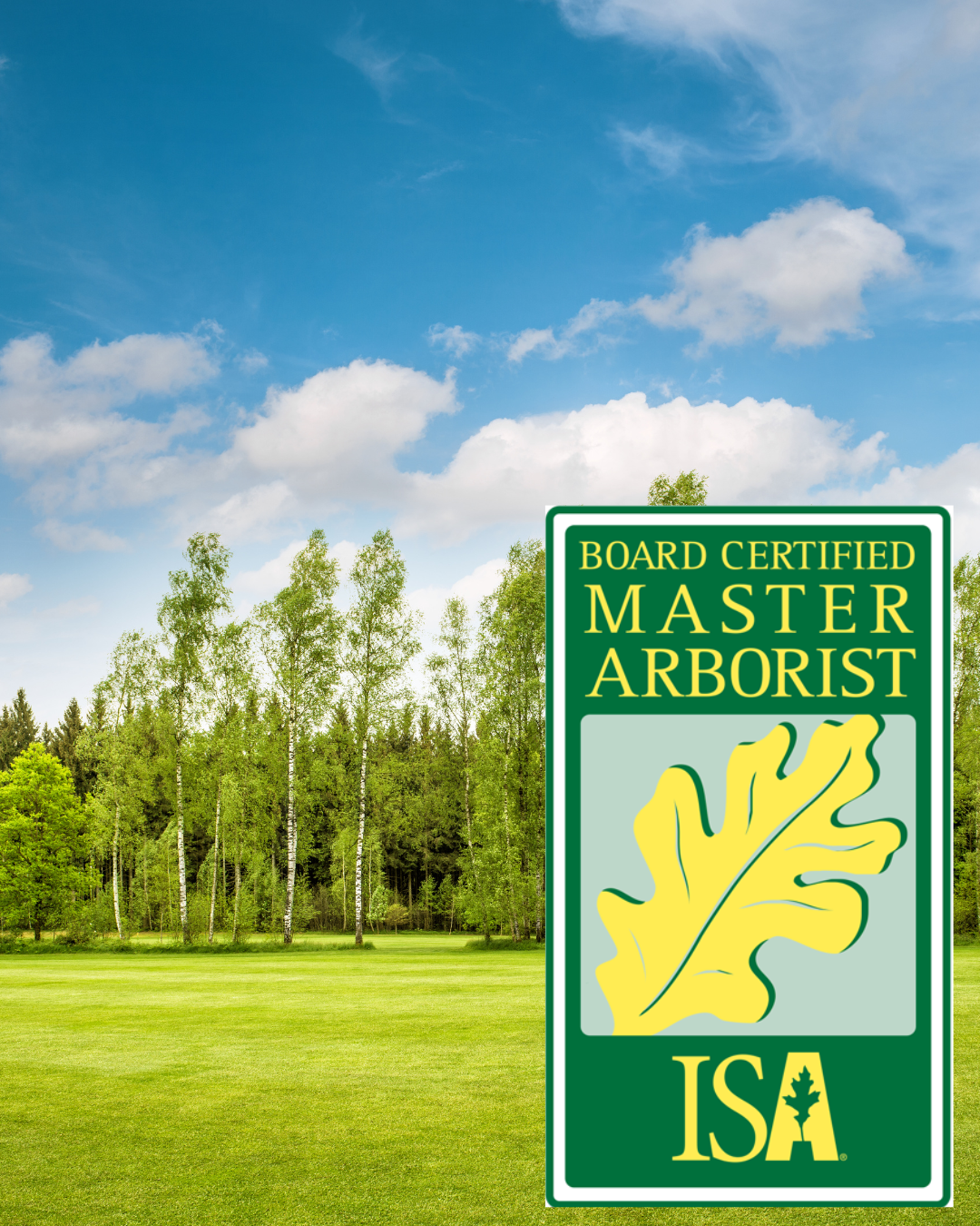 White Classic Photocentric Coming Soon Instagram Post ISA Board Certified Master Arborist
