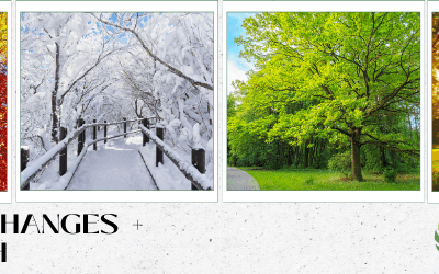 How Seasonal Changes Affect Tree Health in Central Iowa