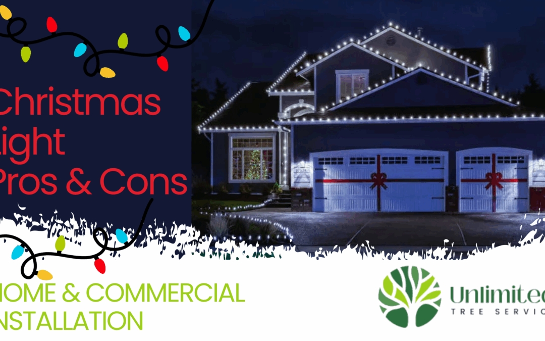 Bright Ideas: Pros and Cons of Installing Christmas Lights in Iowa