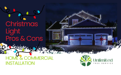 Bright Ideas: Pros and Cons of Installing Christmas Lights in Iowa