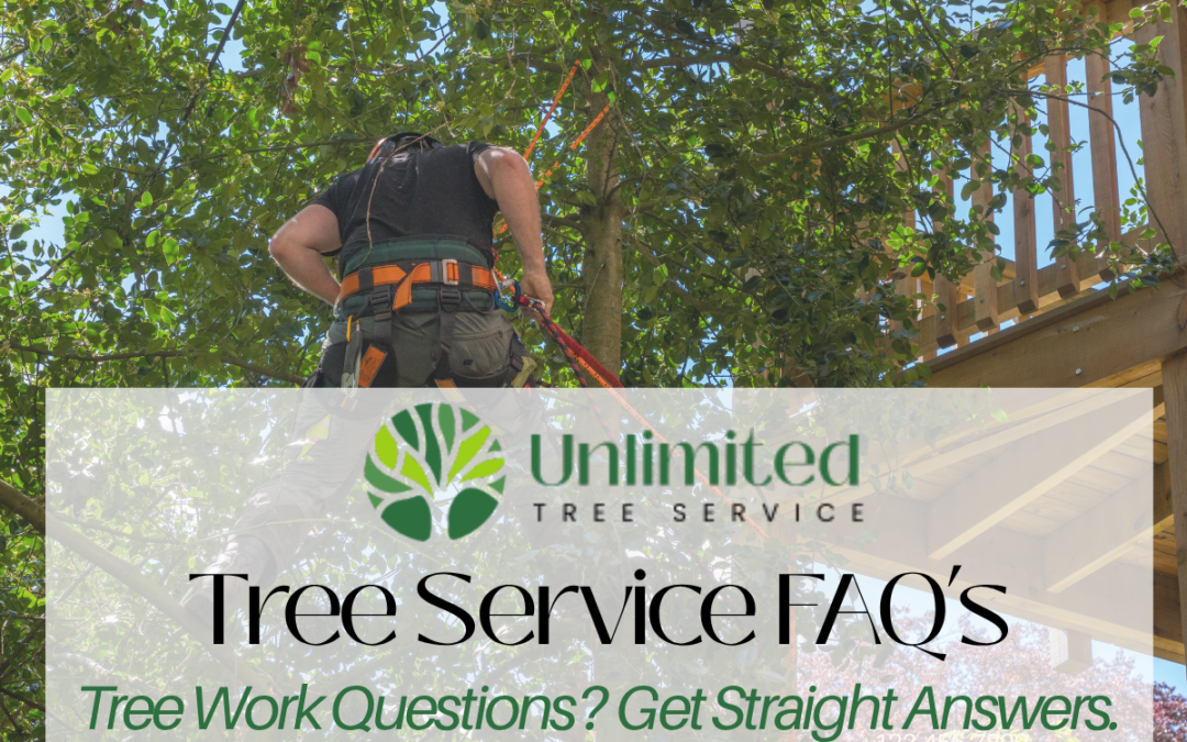 Tree work questions? Get Straight Answers at Unlimited Tree Service