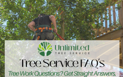Tree Service FAQs: Tree Trimming, Removal & Stump Grinding