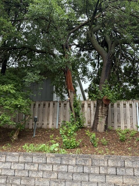 B&A 2 IMG_0378 A severely damaged tree stood above a retaining wall, fence and neighboring property.