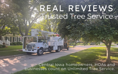 Tree Service Reviews: Why Central Iowa Trusts Unlimited Tree Service