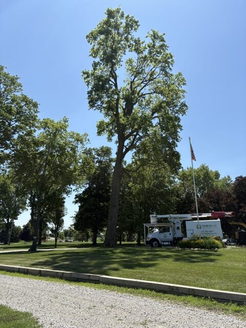 B&A 4 IMG_0433