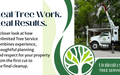 What Safe Tree Work Looks Like: 5 Before-and-After Projects in Central Iowa